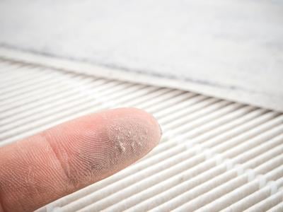 dust on finger pollen season - System4IPS