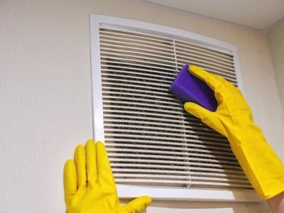 dusting to reduce allergens and pollen at workplace